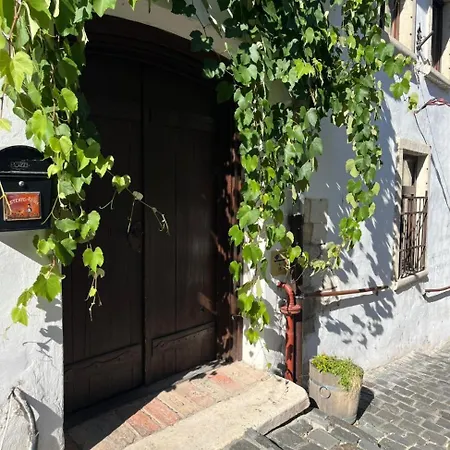 Gul Baba Saray Budapest