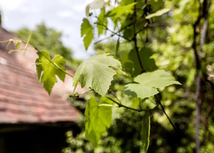 Apartmán Gul Baba Saray